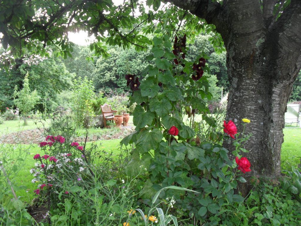 La Chevallerie B&B Isigny-le-Buat Ngoại thất bức ảnh