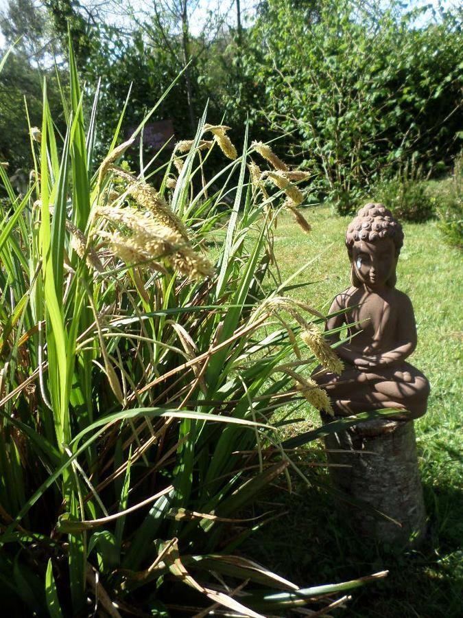 La Chevallerie B&B Isigny-le-Buat Ngoại thất bức ảnh
